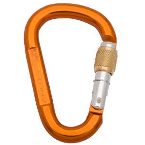 Pyrus screw